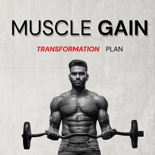 Muscle Gain Transformation